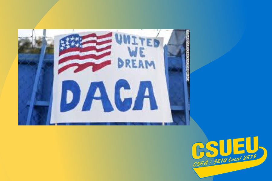 DACA 900x600.png